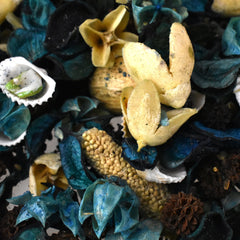 Coastal Breeze Blend Fragrance Potpourri, 12-ounce