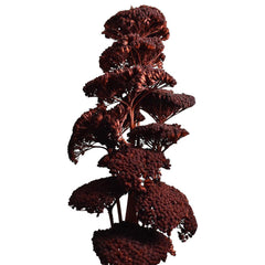 Dried Natural Yarrow Flower Bundle