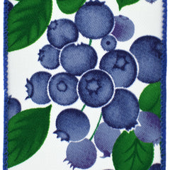 Blueberry Stems Twill Wired Ribbon, 2-1/2-inch, 10-yard