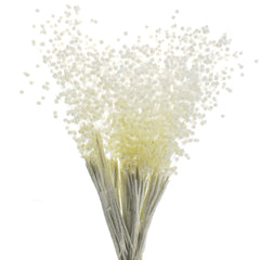 Pearl Beads Spray, 8-Inch, 12-Count