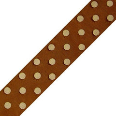 Organza Polka Dots Wired Ribbon, 2-Inch, 50-Yard