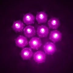 LED Submersible Base Lights, 1-1/2-Inch, 12-Count