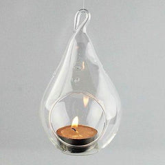 Clear Glass Terrarium Air Plant Candle Holder, With Loop