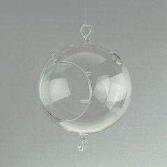 Clear Glass Terrarium Air Plant Candle Holder, With Loop