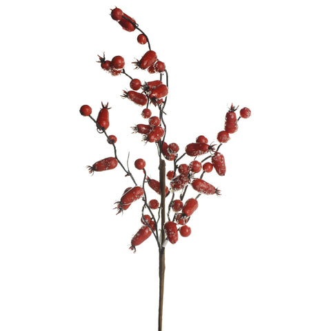 Artificial Iced Rosehip Stem, 18-Inch