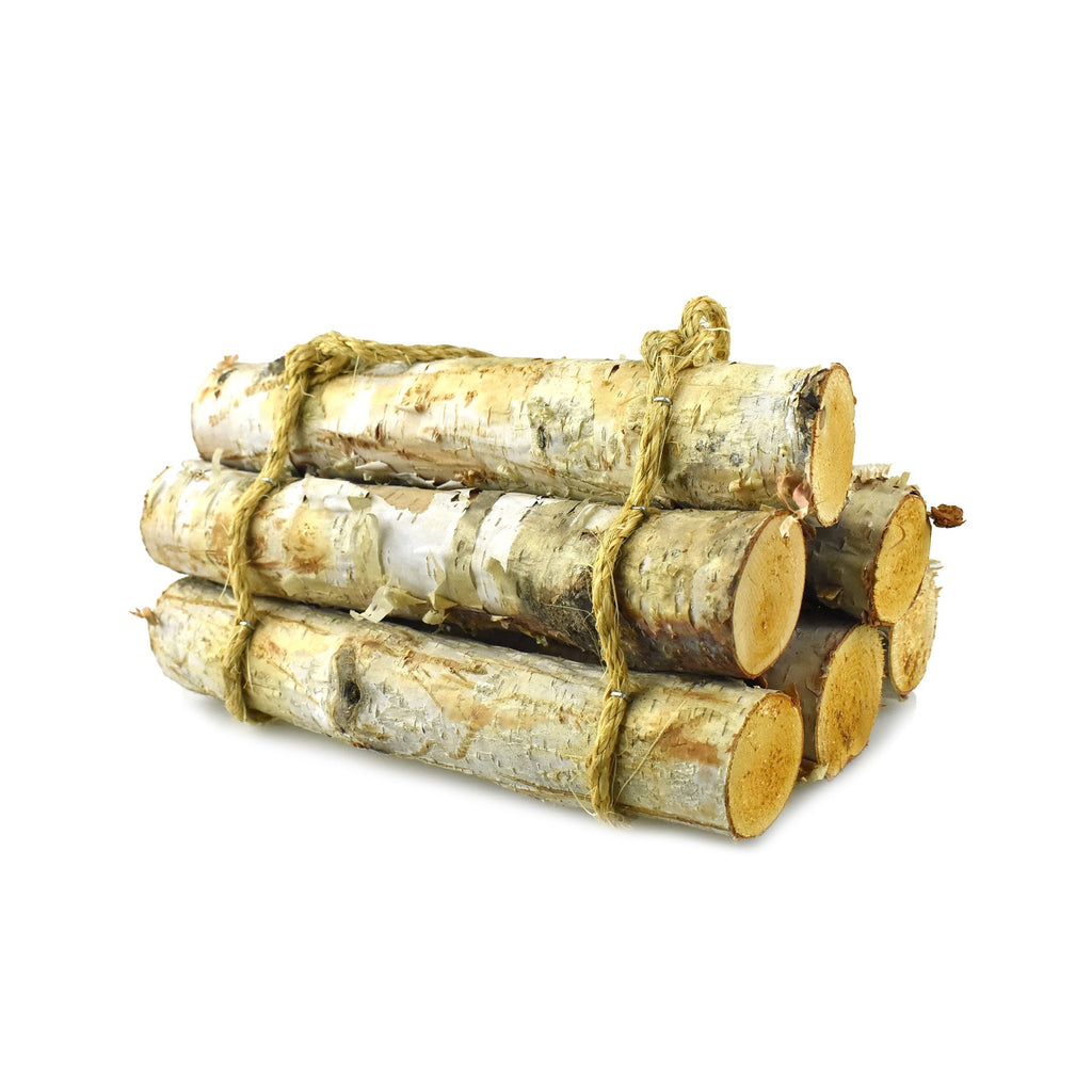 Natural Birch Wood Roped Log Bundle, 10-Inch, 6-Count