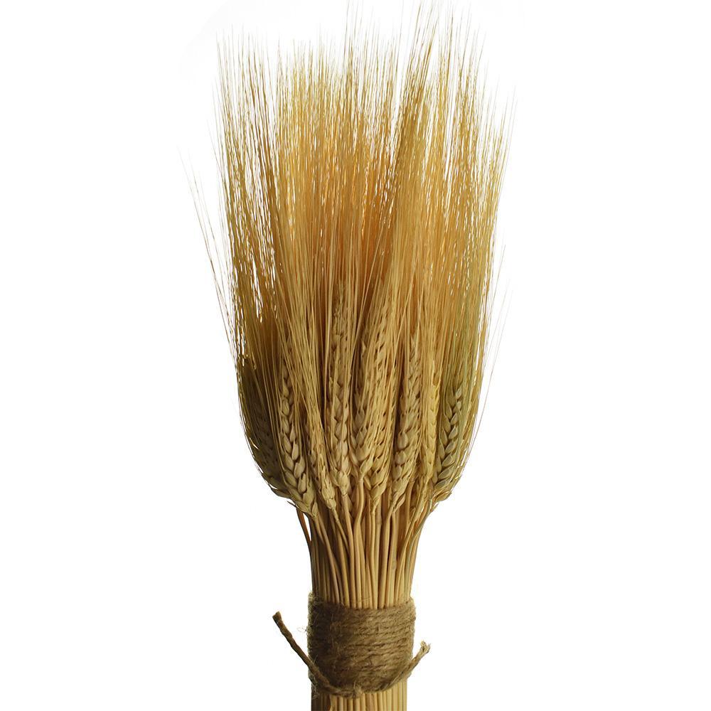 Dried Natural Triticum Wheat Bundle