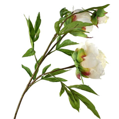 Blooming Silk Peony Spray Branch, 28-Inch