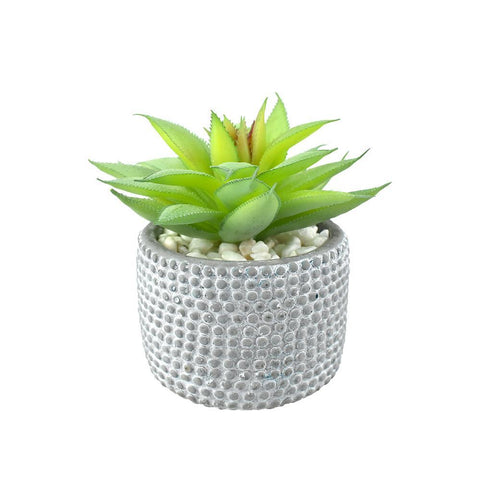 Artificial Succulent with Pot, 5-Inch