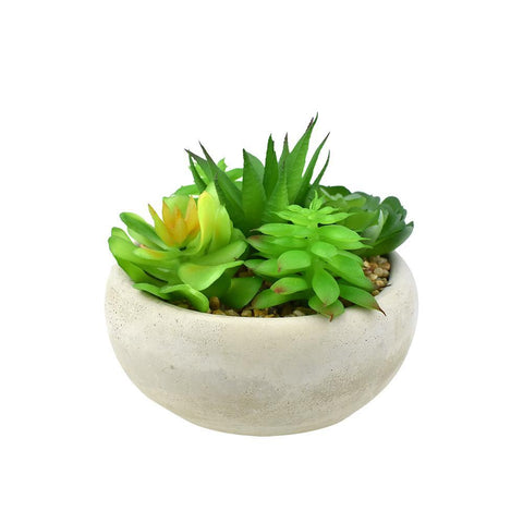 Artificial Mixed Succulents with Pot, Green, 4-3/4-Inch