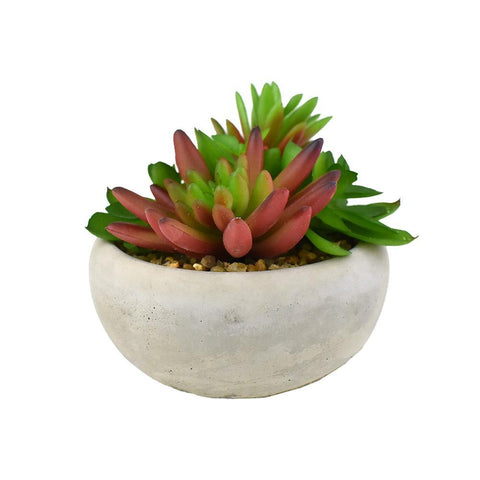 Artificial Mixed Succulents with Pot, Green/Red, 5-Inch