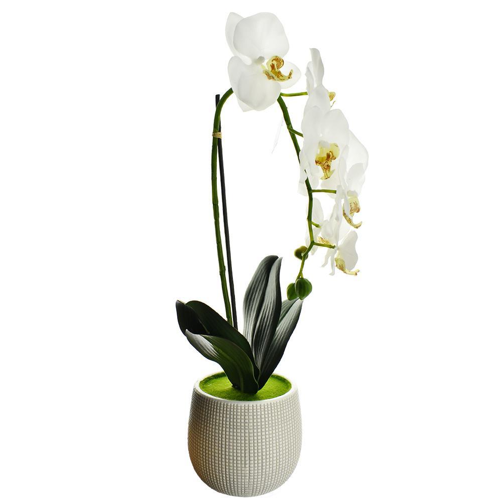 Artificial Moth Orchid with Round Pot, 20-Inch