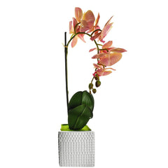 Artificial Moth Orchid with Square Pot, 20-Inch