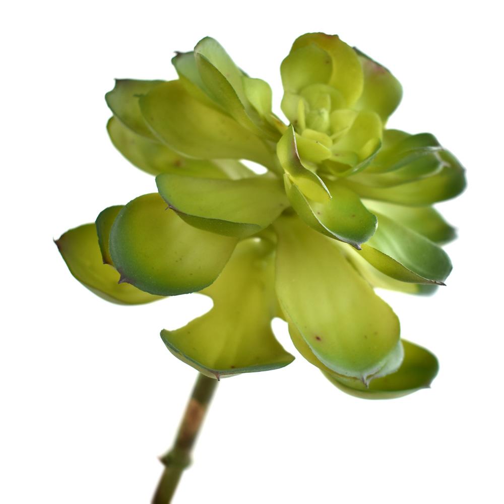 Artificial Echeveria Desert Rose Succulent Pick, Light Green, 8-Inch
