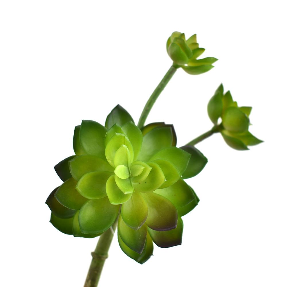 Lush Artificial Succulent Echeveria Stem, Green, 9-Inch