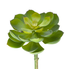 Artificial Spread Out Succulent, 7-Inch