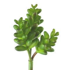 Artificial Stonecrop Succulent, 9-inch