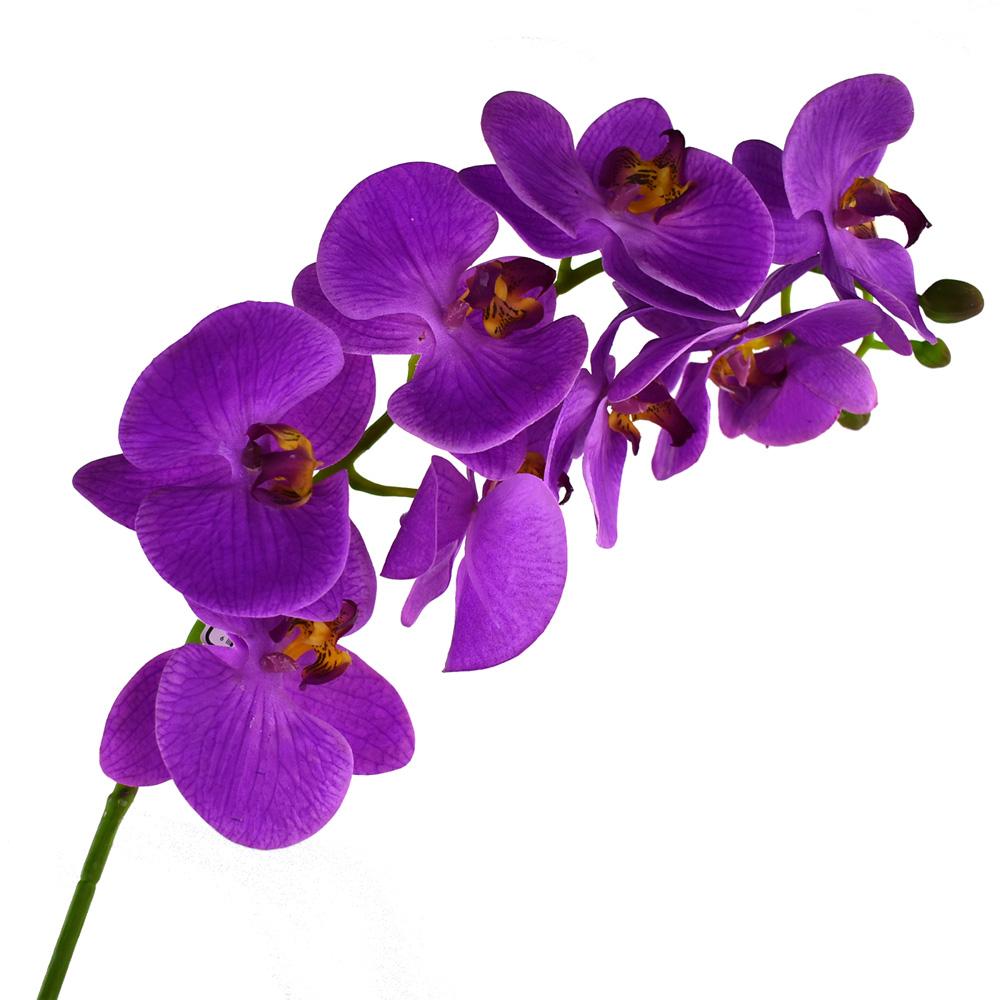 Deluxe Artificial Orchid Stem, 31-Inch