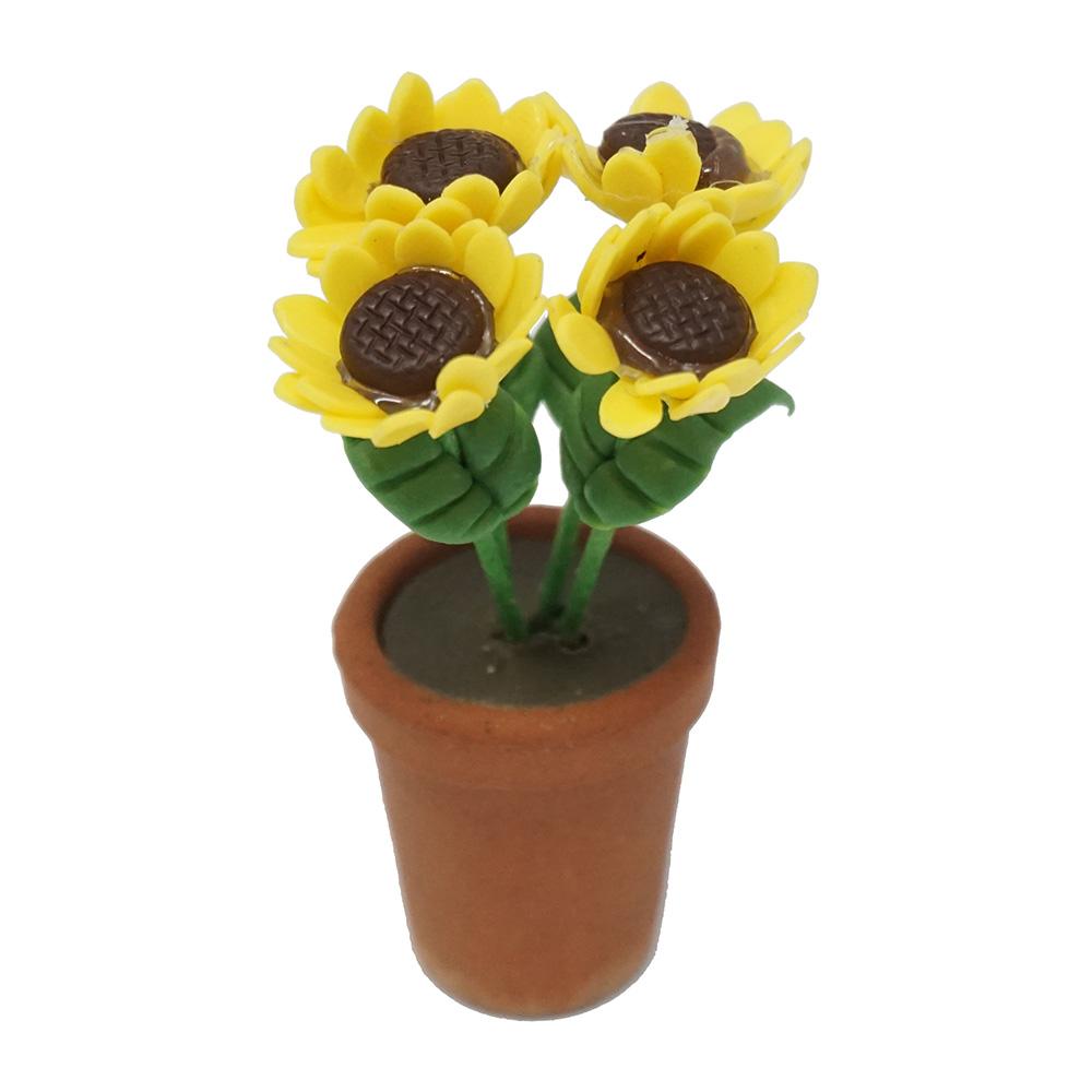 Miniature Potted Daisies Plant, 1-3/4-Inch