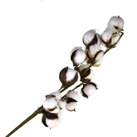 Artificial Cotton Plant Spray Branch, White, 27-Inch