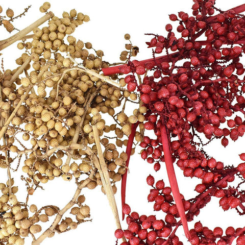 Dried Natural Canella Berries Bundle