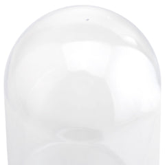 Plastic Dome Display Case, Clear Base