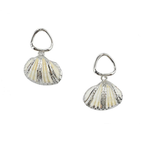 Striped Seashell Earrings, Silver, 1-1/4-Inch