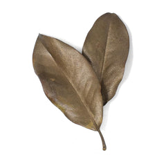 Natural Painted Magnolia Leaves, 10-Piece