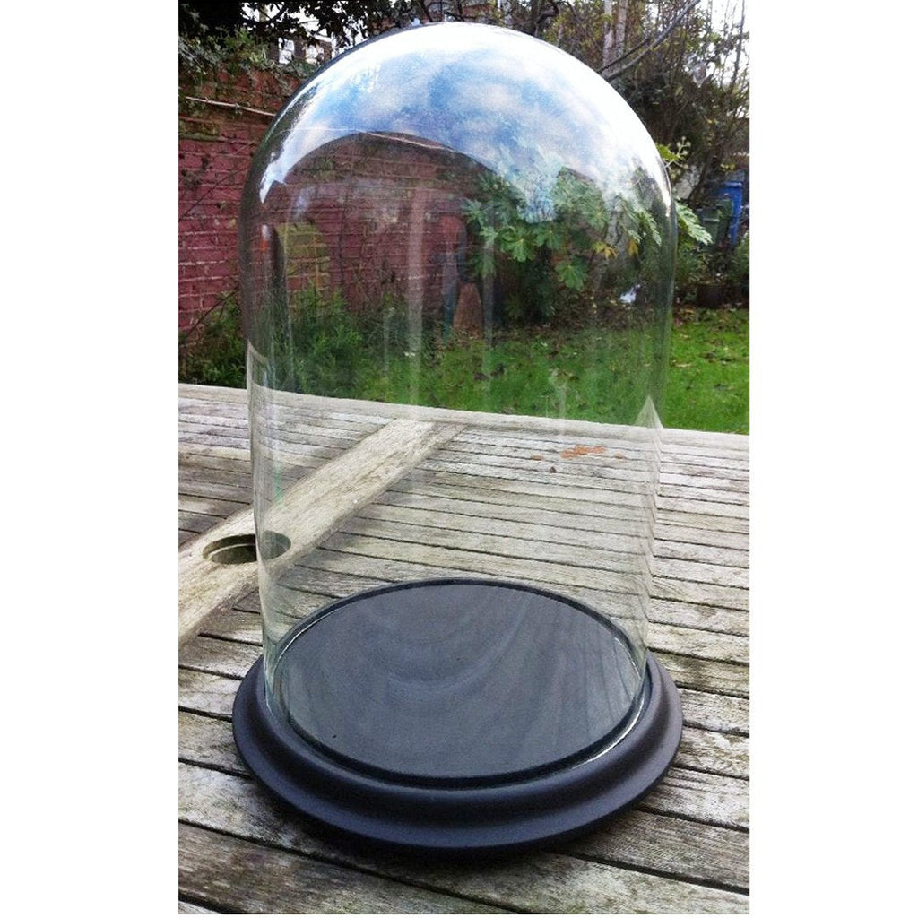 Clear Glass Large Dome Display with Ceramic Base