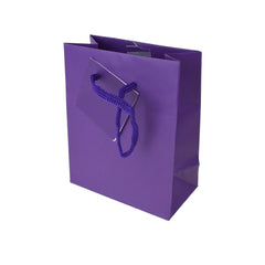Solid Colored Matte Gift Bags with Tag, 5-1/4-Inch