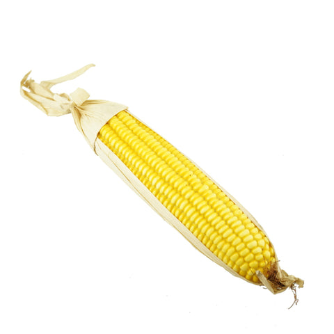 Realistic Faux Corn with Husk Decoration, Yellow, 8-1/2-Inch