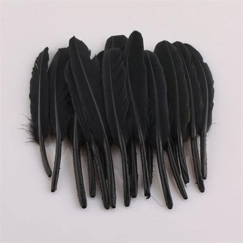 Duck Feather Decorative, 6-inch, 50-count