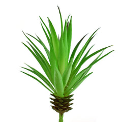 Artificial Succulent Yucca Plant, 8-inch