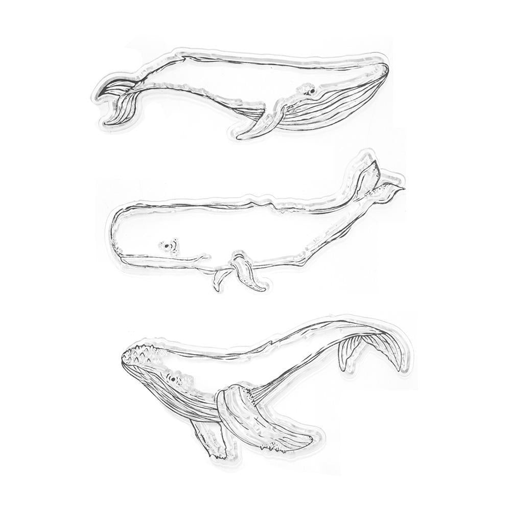 Silicone Colossal Whale Clear Stamps, 3-Piece