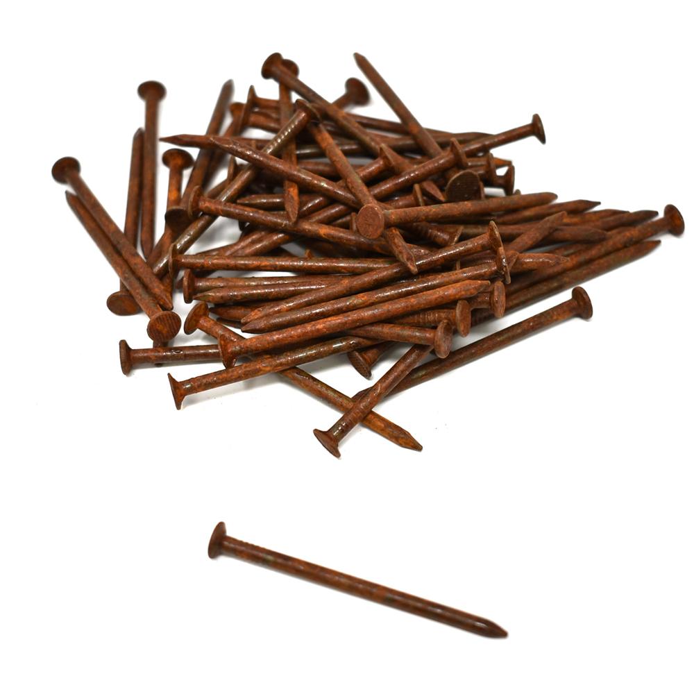 Rusty Arts & Craft Nails, 2-Inch, 61-Piece