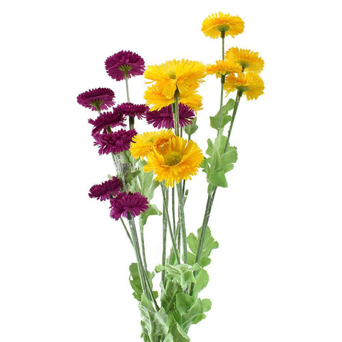 Artificial Aster Daisy Spray, 29-Inch