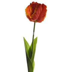Artificial Parrot Tulip Stem, 26-Inch