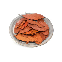 Preserved Autumn Leaves Bowl Filler, Orange, 4-Ounce