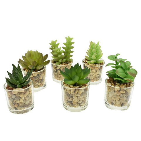 Artificial Assorted Succulents in Glass Planters, 4-1/4-Inch, 6-Piece