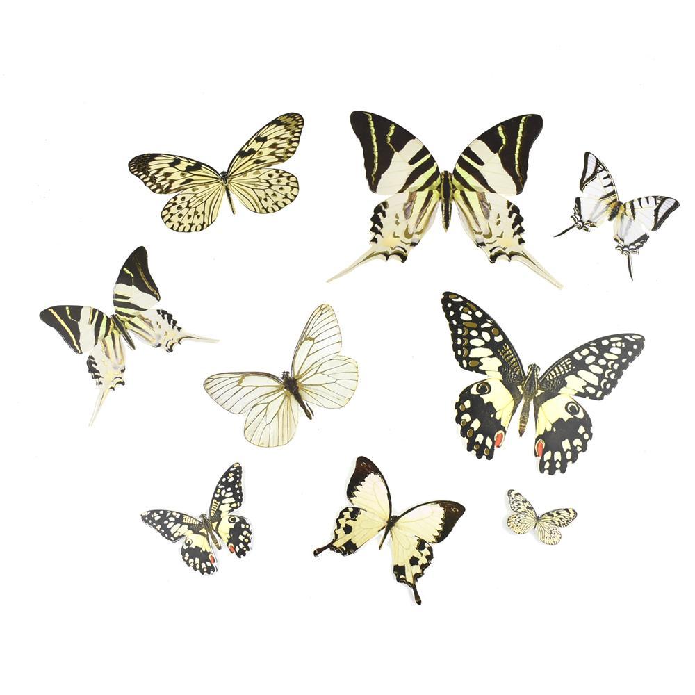 Butterfly Paper Craft Die Cuts, White, 35-Piece