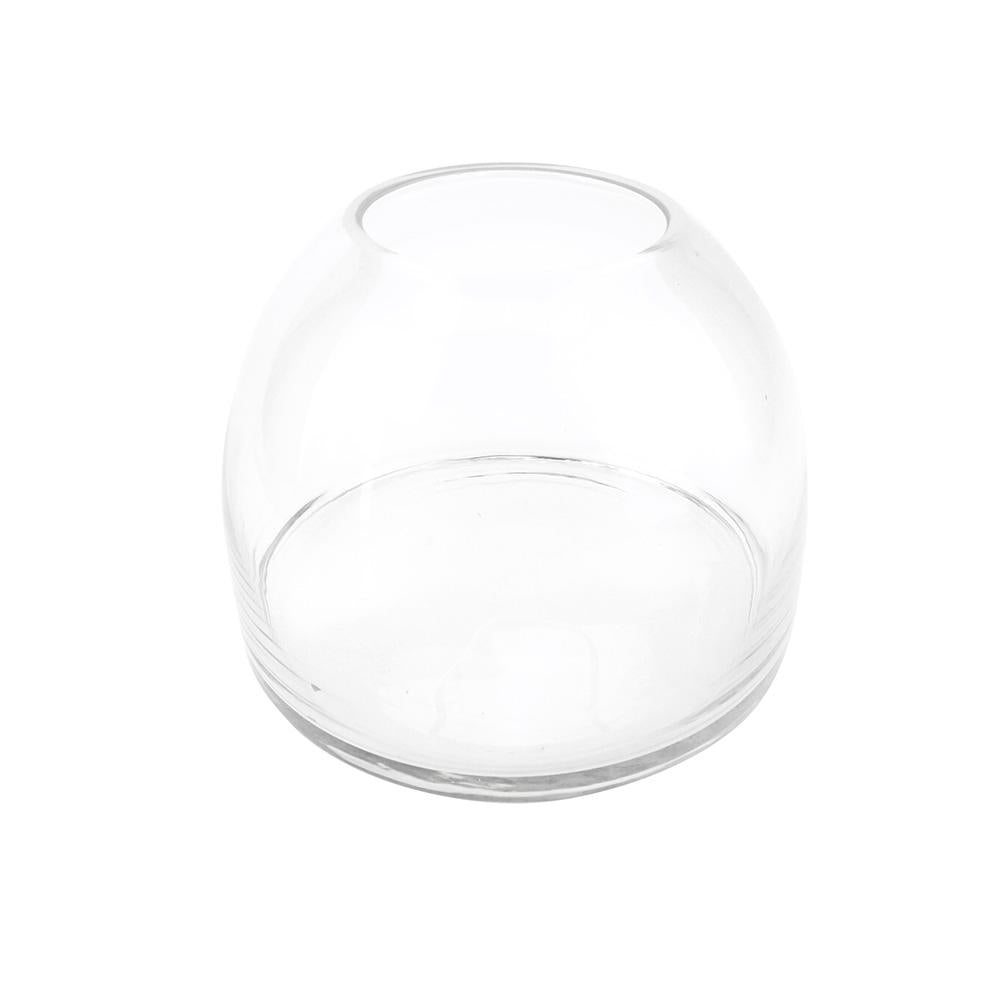 Clear Dome Shaped Glass Terrarium, 7-3/4-Inch