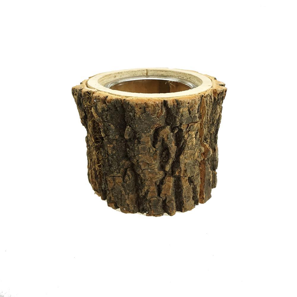 Wooden Bark Planter with Inner Glass Vase, 4-1/4-Inch