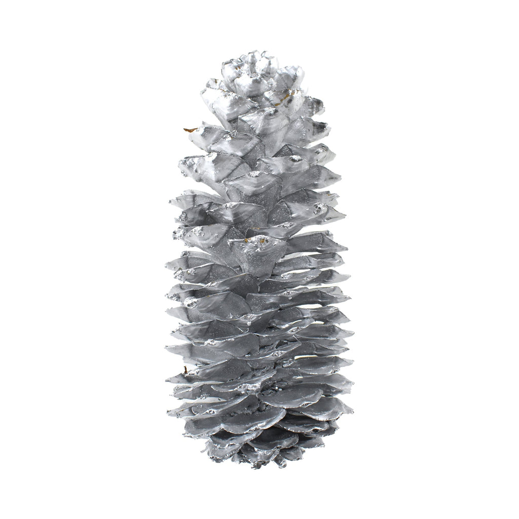 Dried Natural Sugar Pine Cone, Silver