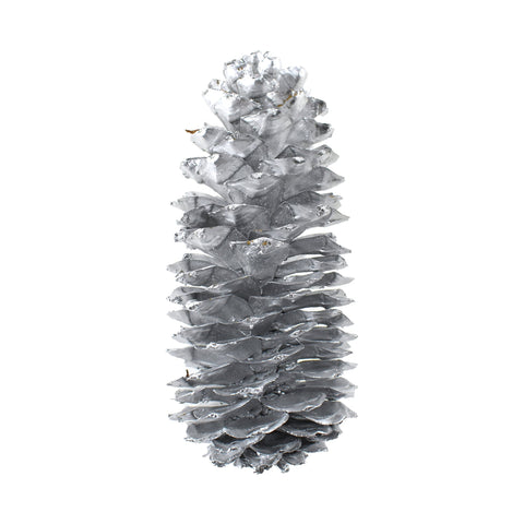 Dried Natural Sugar Pine Cone, Silver