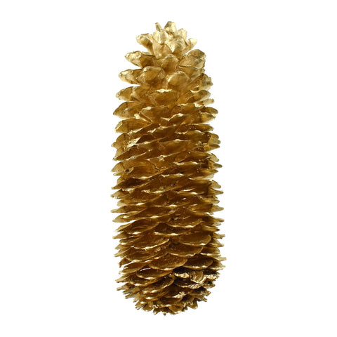 Dried Natural Sugar Pine Cone, Gold