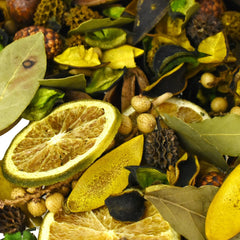 Lemon Zest Botanical Blend Fragrance Potpourri, 12-ounce