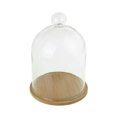 Clear Glass Dome Display with Wooden Base, 5-3/4-inch