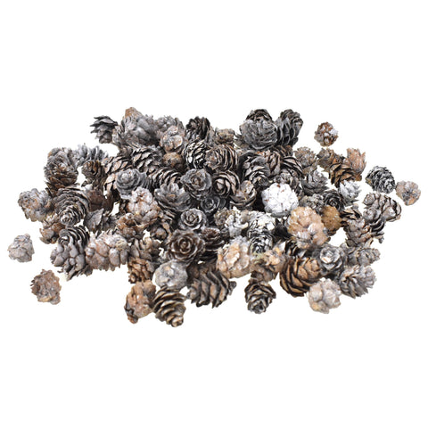 Artificial Mini Pine Cones Assortment, 1-Pound