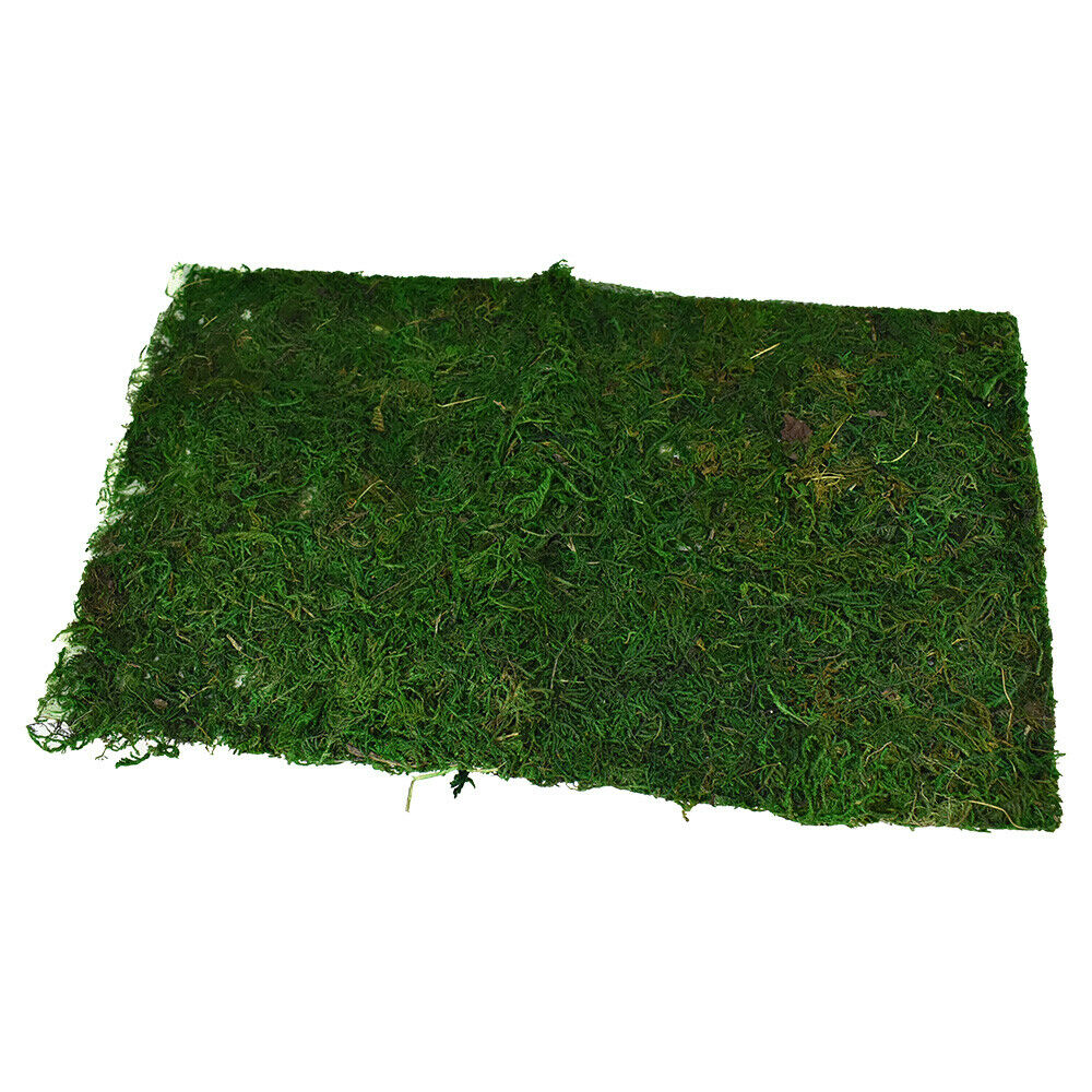 Natural Moss Mat, 18-inch